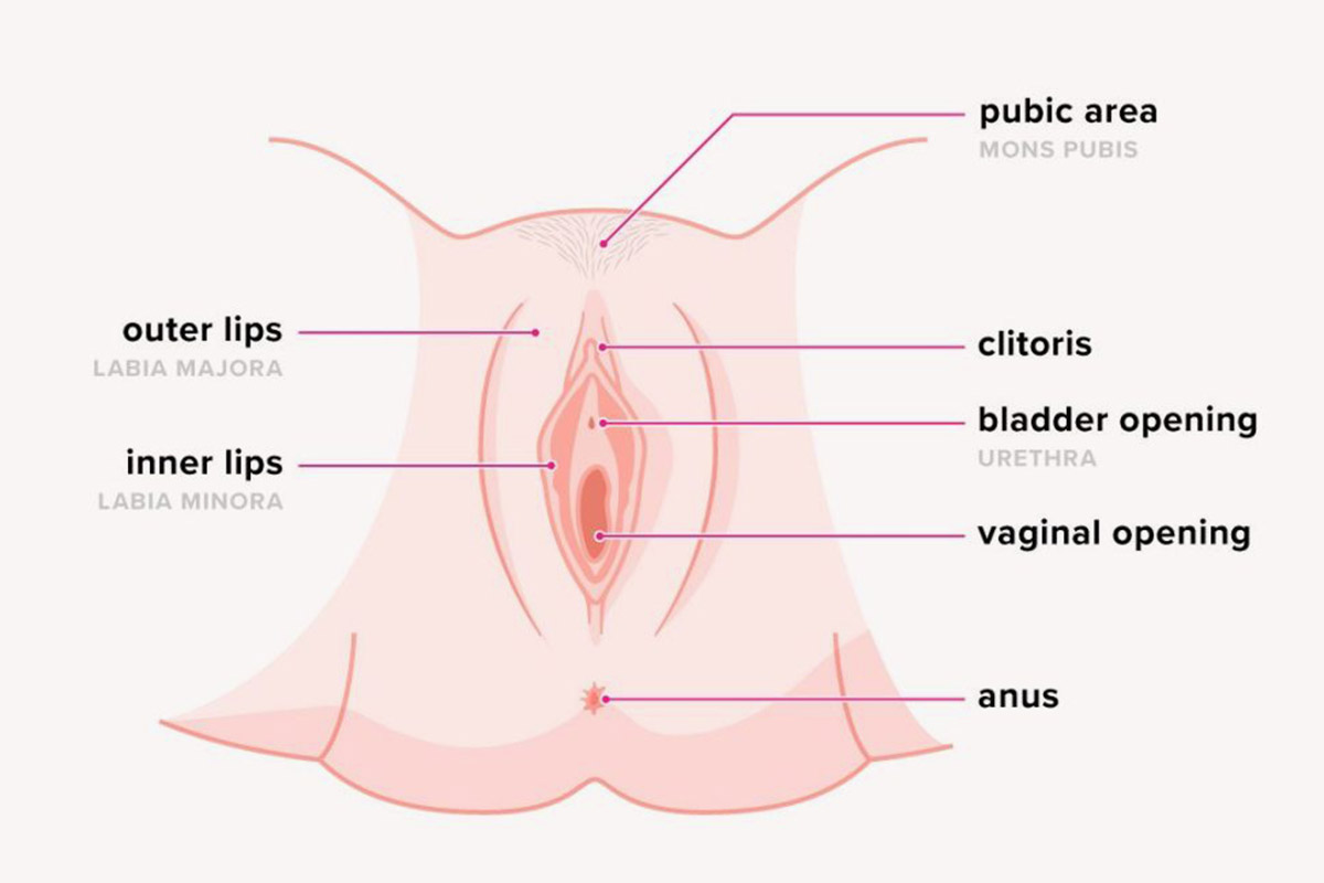 Vagina Chronicles Health Tips Every South-asian Girl Should Know hq nude picture