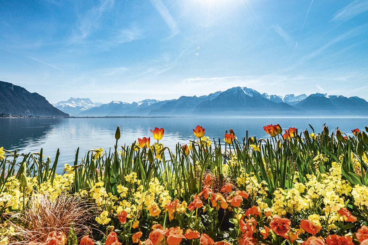 From Montreux With Love